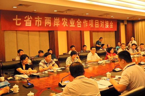 【我看海峽論壇】第三期:最美的畫面,是“都是一家人”的感動 【我看海峽論壇】第三期:最美的畫面,是“都是一家人”的感動