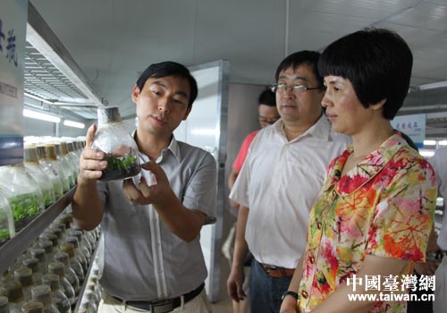 �����R��ɽ�����L(zh��ng)�������{(di��o)���_(t��i)�Y��I(y��)