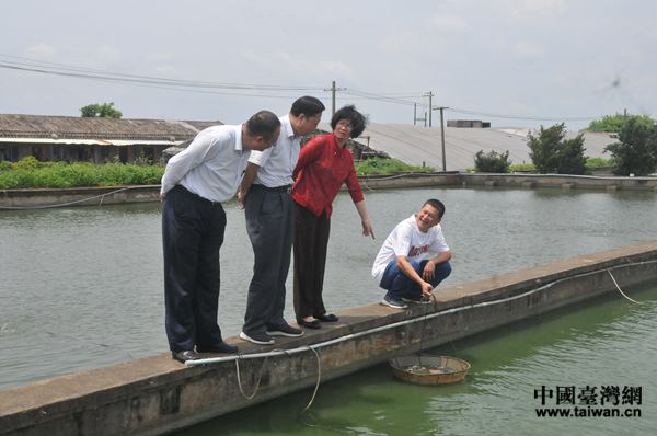 苻彩香副省長在宏福觀賞魚養殖場調研 苻彩香副省長在宏福觀賞魚養殖場調研