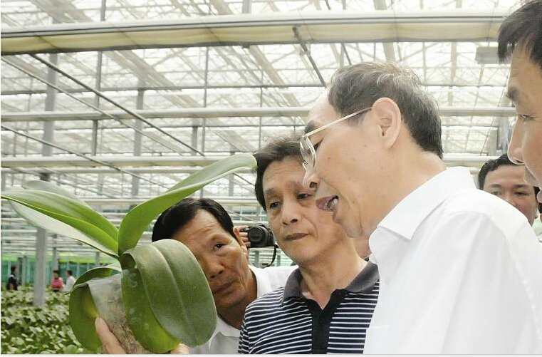 �ș�(qu��n)���_(t��i)���H�L�� �������� ���\�l(f��)չ