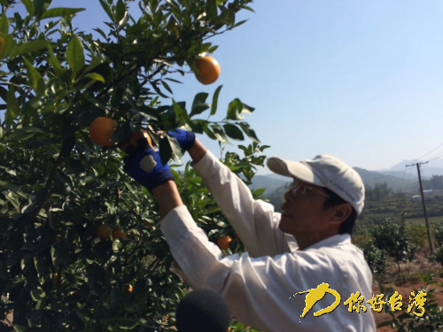 �_���мҴ�ꑸ��Ю�(d��ng)�r(n��ng)��