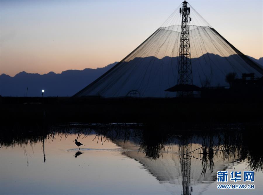 ���h������1����ɳ��ˮ ���B���]