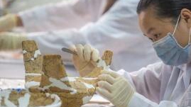 �����ﱣ�o(h��)����(d��ng)���ðl(f��)չ