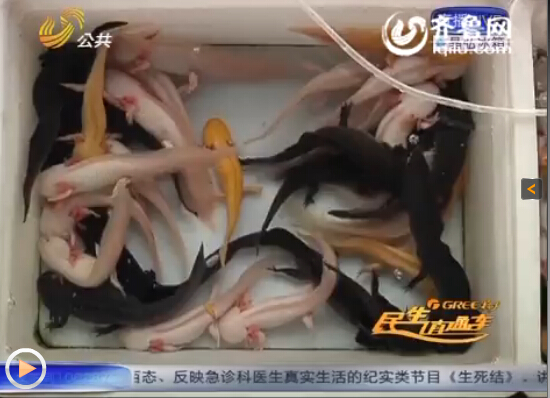 �u���Fɽ���@�T�ڵ��~�x�Ј��в����̑������N���@�N���ǿ�������ҕ�l�؈D��