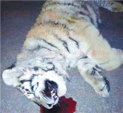 ɽ�|�R·�@�F���ϻ��{�飺�ܱ����@�� �ĸߘǉ���