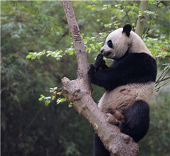 ����ٛ���T����؈�x�� �AӋ5�³��w�����T