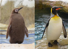 �_������@�������Z�Q��ë ݆���]�P��Ҋ��