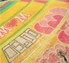 ��¡�Ą�(chu��ng)�@��ӭ��ĸ�H��(ji��) 12�f֧�L(f��ng)܇ƴ�ɾ޷�����ܰ