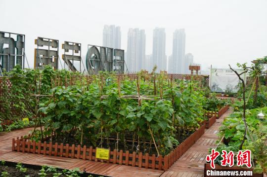 �����ߘǘ�픵ġ��˵ء��Nֲ�˲��ٕr�ߡ����O�� �z