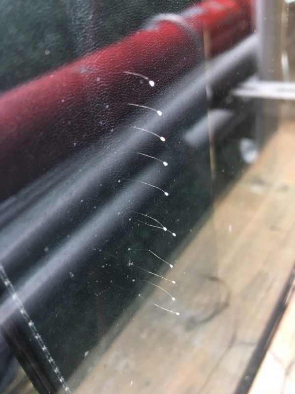 �_�������ΌW:�Օ��в�Ӣ���I���� �����Q�RӢ������