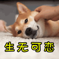 ه(l��i)����������(y��ng)�񹦡��^(gu��)�й����h ���M(j��n)�h�Č������ܡ��M(j��n)�е���