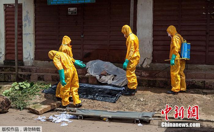 ����������ʬ��T�� ��������Ⱦ��ʬ�w�������^