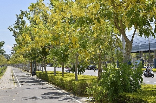 ���۵İ����՟���ʢ���С����_(t��i)ý�D��