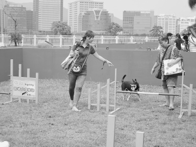 �_�����h�г����c�� �O�����\�ӹ��@���Г조�S��