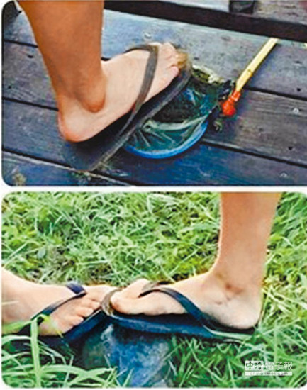 臺北高中生集體虐龜拍照上傳網站炫耀(圖)