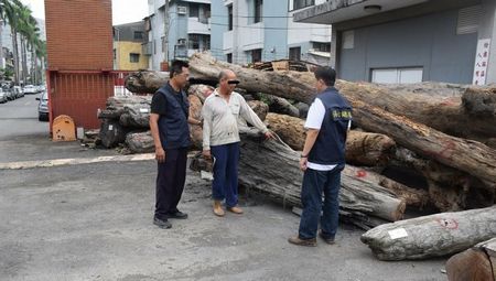 臺男子想賺臺風財擅自打撈漂流木被逮捕(圖)