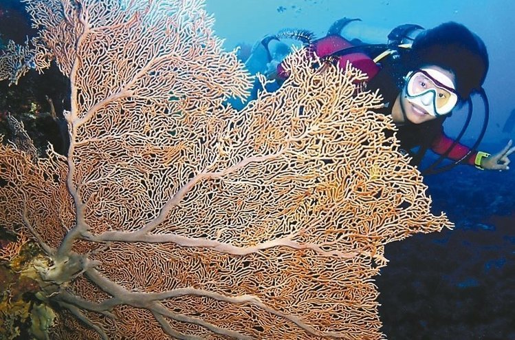 �_���m�Zǧ����ȡ����ࡱ ���˞��ȡ���D��