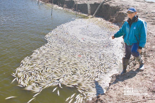 �_���O��M������������ �P���c�_���֡�ƴ����