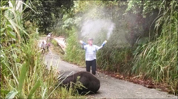 �_(t��i)��500�๫��ˮţ���⻢�^������������DƬ��Դ�_(t��i)ý��