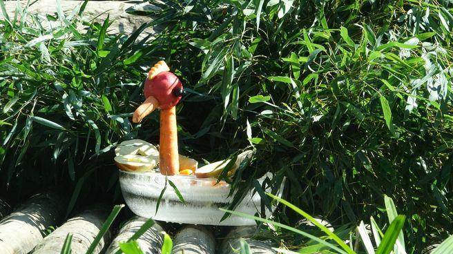 “圓仔”新年特餐的素材有蘋果、胡蘿卜、葡萄、窩窩頭及竹葉等 “圓仔”新年特餐的素材有蘋果、胡蘿卜、葡萄、窩窩頭及竹葉等