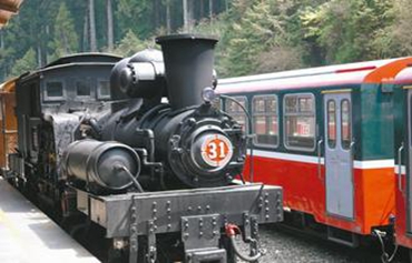 �_(t��i)������ɽɭ���F·102�q ʥ�Q��(ji��)���؆��uľ܇��