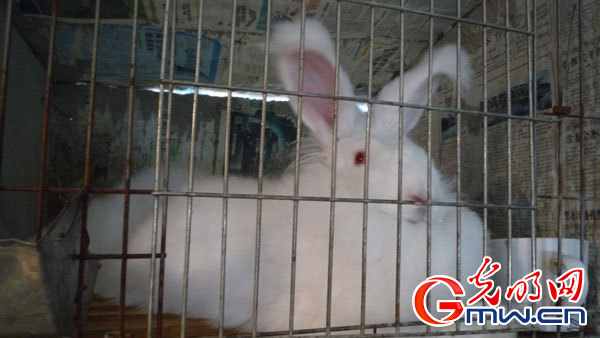 ���W(w��ng)�j(lu��)ý�w���D(zhu��n)�ġ��Zˮ�h����(zh��n)��ؚ˦�����Fñ�ӡ�