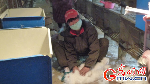 ���W(w��ng)�j(lu��)ý�w���D(zhu��n)�ġ��Zˮ�h����(zh��n)��ؚ˦�����Fñ�ӡ�