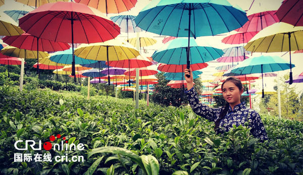 �DƬĬ�J(r��n)��(bi��o)�}