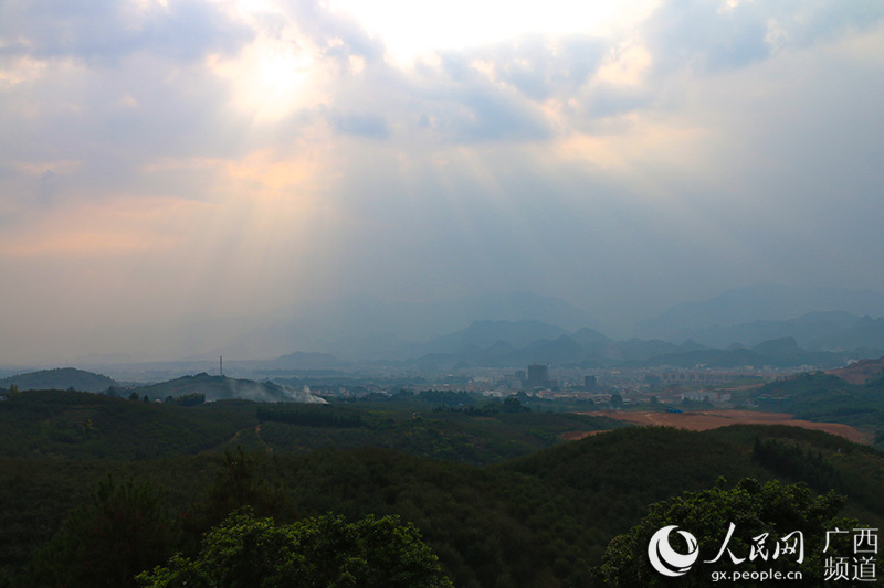 ���ʴ��r(n��ng)�I(y��)ʾ���^(q��)�B(ni��o)��(y��ng)�h��