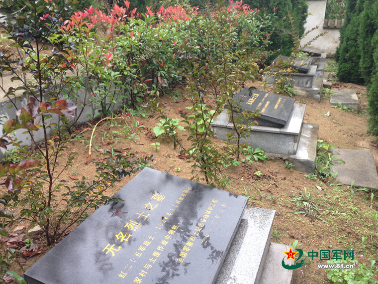 ���W�jý�w���D�ġ��������ˣ�׌�t25܊��ʿ���ؼҡ���