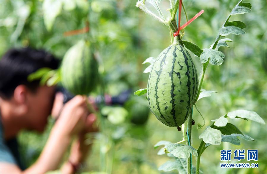 �����Aȫý�^�l�������҂���С������D�Ļ���(d��ng)����10���Ҹ�С���뮋(hu��)��(l��i)�����R��������LС���®�(hu��)��