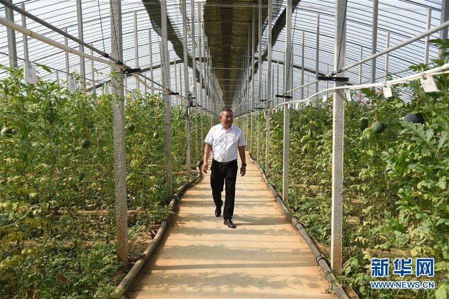 �����Aȫý�^�l�������҂���С������D�Ļ���(d��ng)����11���Ҹ�С���뮋(hu��)��(l��i)�����R��������LС���®�(hu��)��