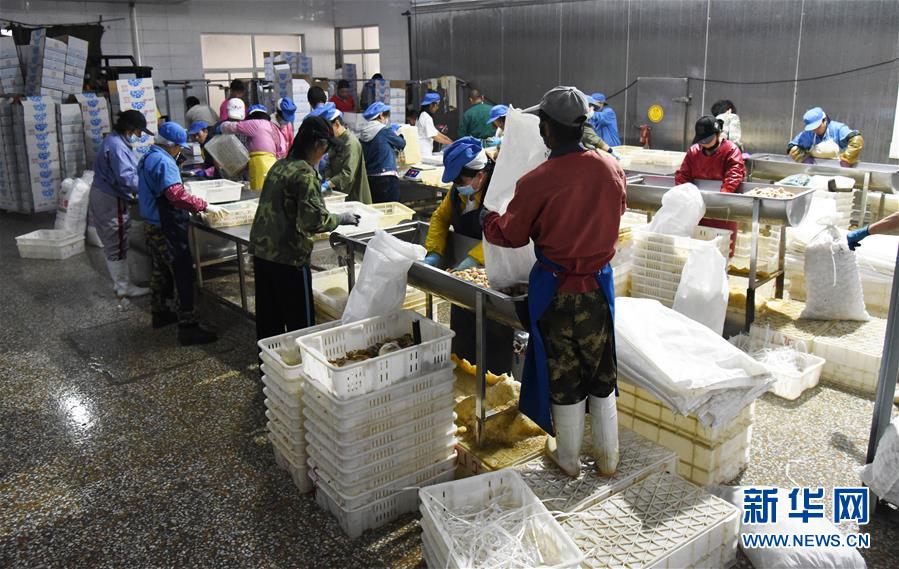 �����Aȫý�^�l�������҂���С������D�Ļ���(d��ng)����3���Ҹ�С���뮋(hu��)��(l��i)�����R��������LС���®�(hu��)��