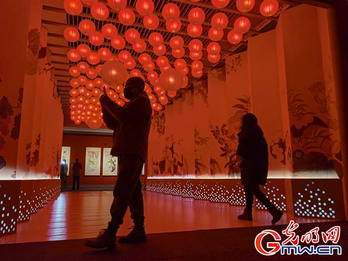 【新春走基層】視頻丨虎年看虎展!來國博感受虎文化