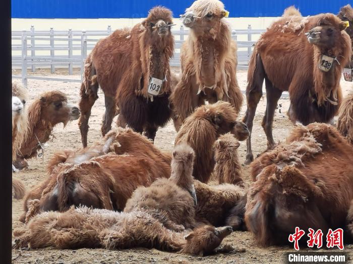 ��ʮ��@ÿһ���^�����㡿��(n��i)�ɹ�߅����h�¸�Ғ��·��450��ĸ��񄡰�桱�񱊱�С��