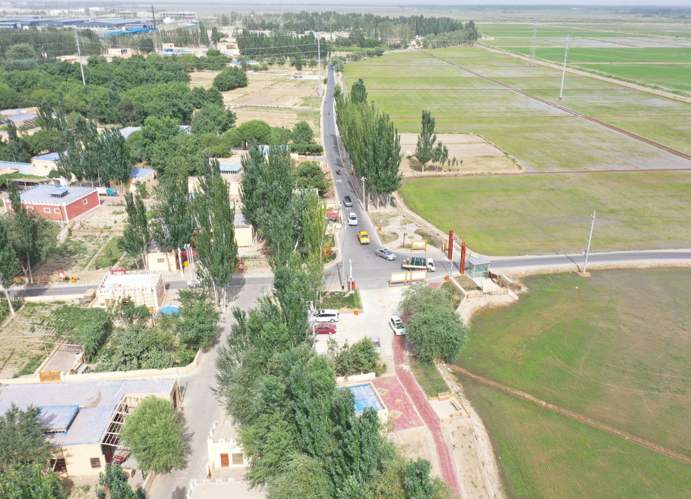 ����߅��|�Ͻ����W(w��ng)�t�塱�ڡ�Ԋ(sh��)���h(yu��n)������䁾��Ҹ�·