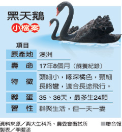 �����Z �_�����d��W �_��