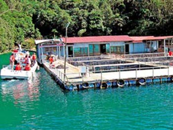 ����̶���ݽ����(l��i)������ӣ���(du��)���^��ˮ���������ɘO�����_���DƬ��(l��i)Դ���_(t��i)�����Ї�(gu��)�r(sh��)��(b��o)��