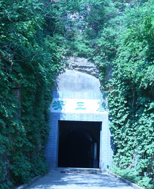 ����Ĺ�ڣ��Ї�(gu��)�_(t��i)���W(w��ng) ���Կ��z��