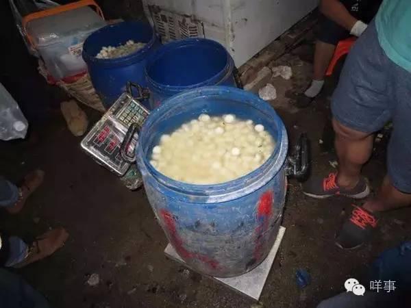 廣東查獲藥水泡馬蹄芋頭 菜販:我們從來不吃