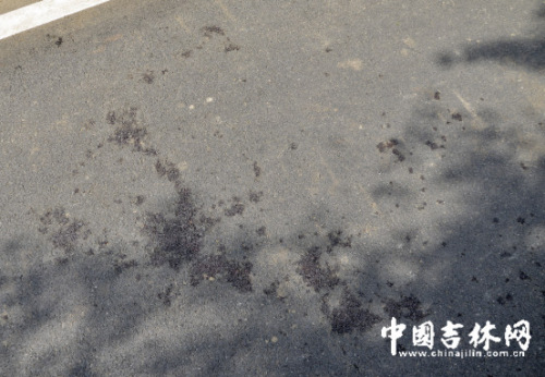 �����˰���1��1�� �ܺ�����ǰ���������е�