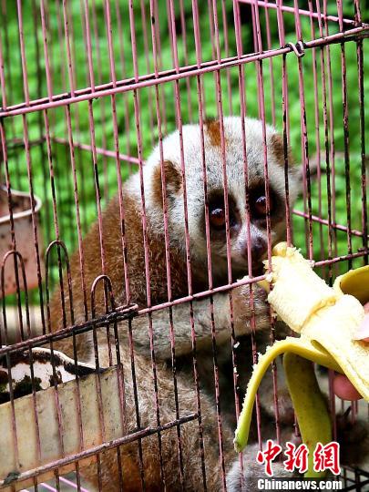 �D�顰���ȇ}��С��� ���ڲ� �z