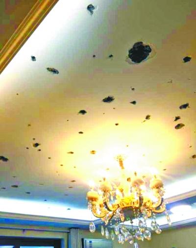 �·���픬F60������С���� ʯ�҉KÓ����c����