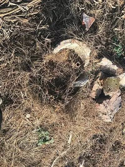 ���x�°l�ز��h̎,һ�ھ����ѽ��Ɠp�Ŀݾ�,�����ڻĲ��g