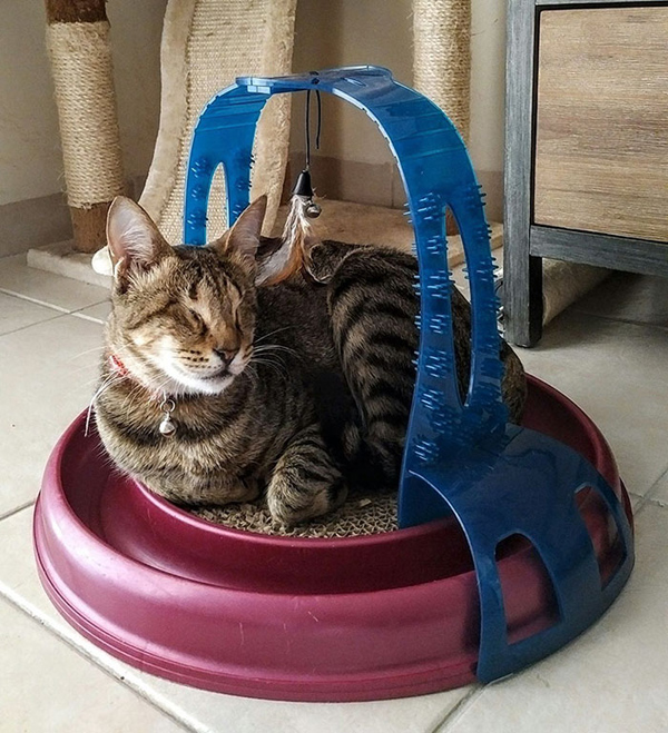 �DƬĬ�J���}