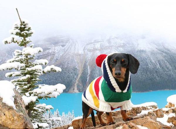 ��(j��)Ӣ����ÿ���]�󡷈�������ô�7�q���D�cȮ�������ǂ��W(w��ng)�t�����ڡ�Ę�V�����ѾW(w��ng)վ����140�f���۽z��