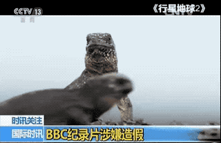 Ӣ���V����˾���J(r��n)