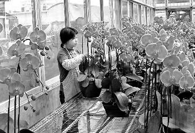 �}�r�I�����_�Y�Ӵ����λ