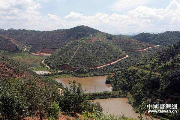 ���������Ͳ���