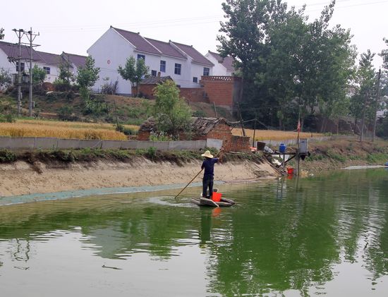 ̽�L�����悝O����^